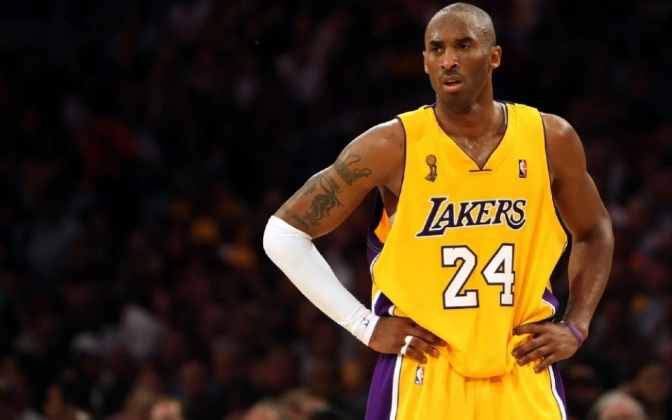 知识产权与 知识产权与