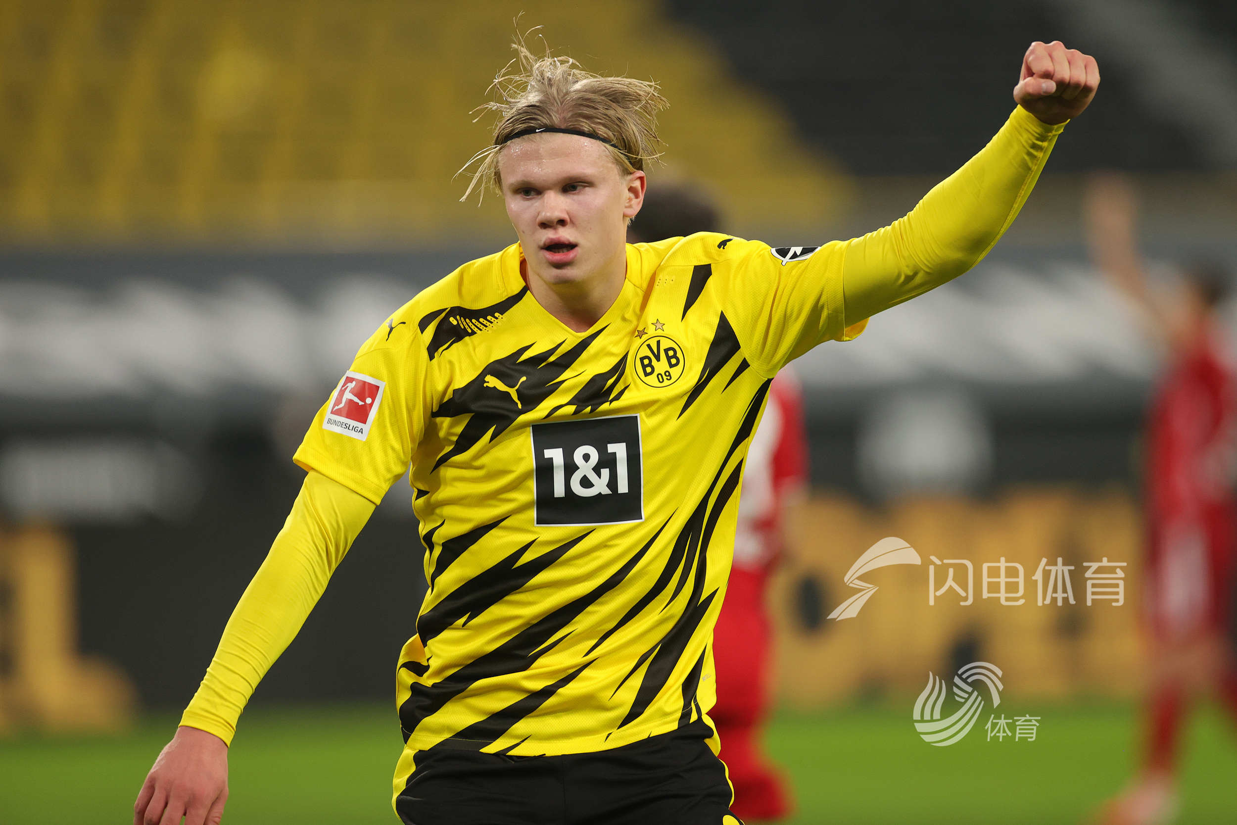 配置极具针 配置极具针